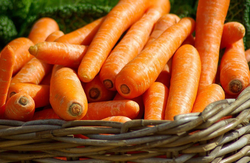 Nutricionista en Getxo